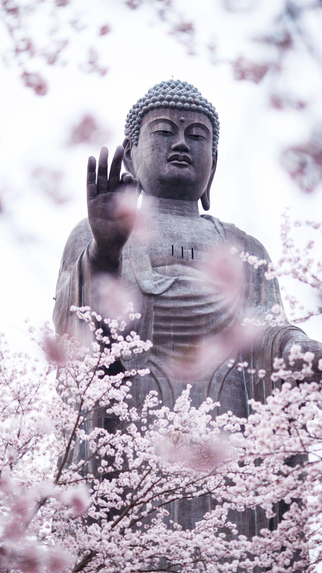 1080x1920 Cherry Blossoms, Buddha, Statue .best