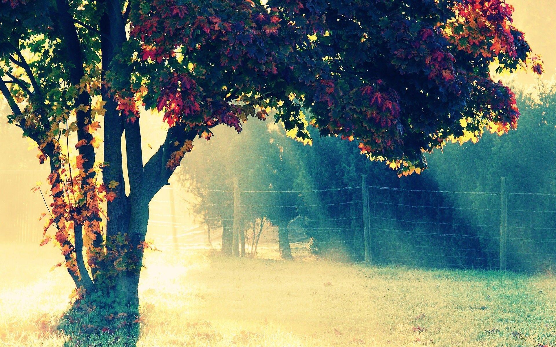1920x1200 Free download tumblr wallpaper hipster .