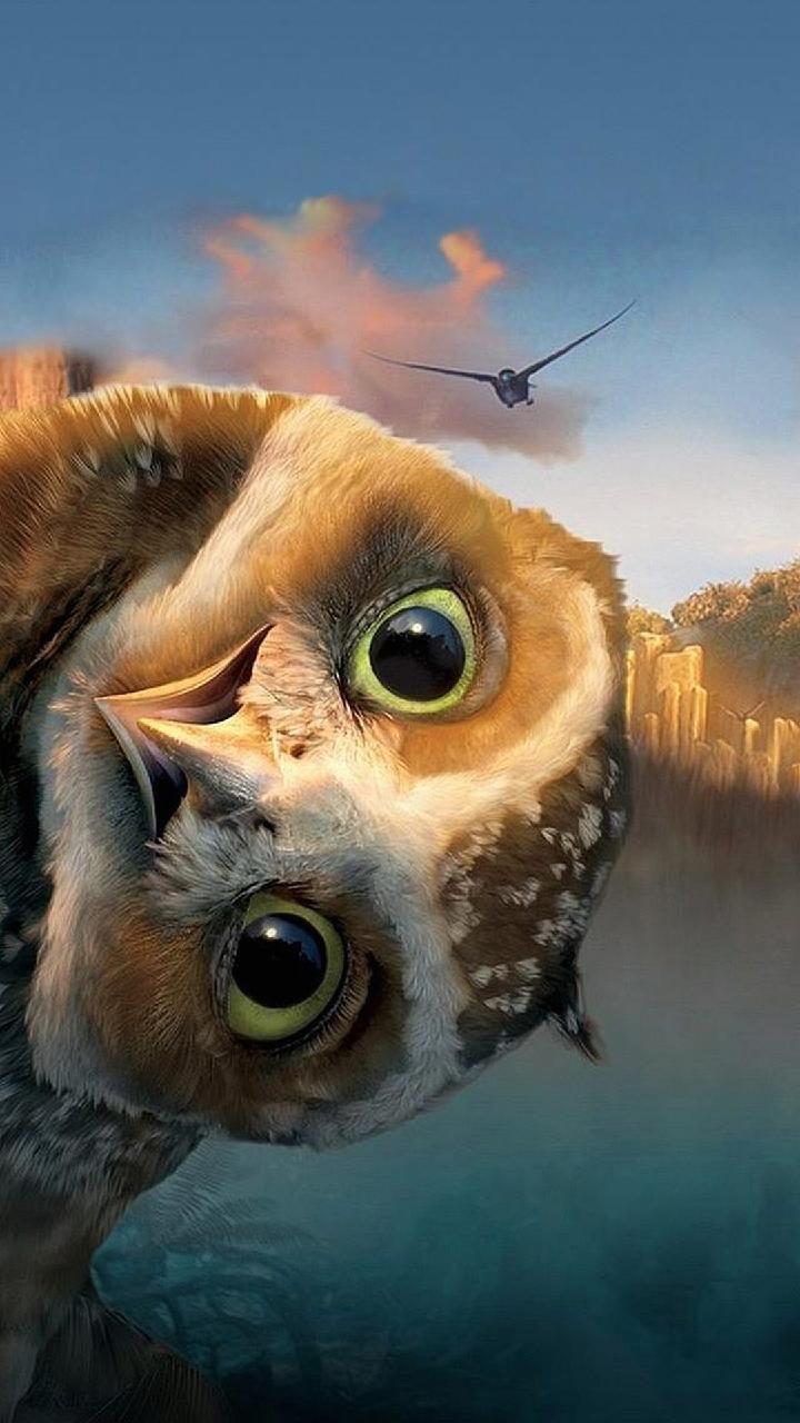 720x1280 Download funny owl Wallpaper by salamouche now. Browse millions of popular funny Wallpaper and Ringtones on. Funny owls, Owl, Owl picture