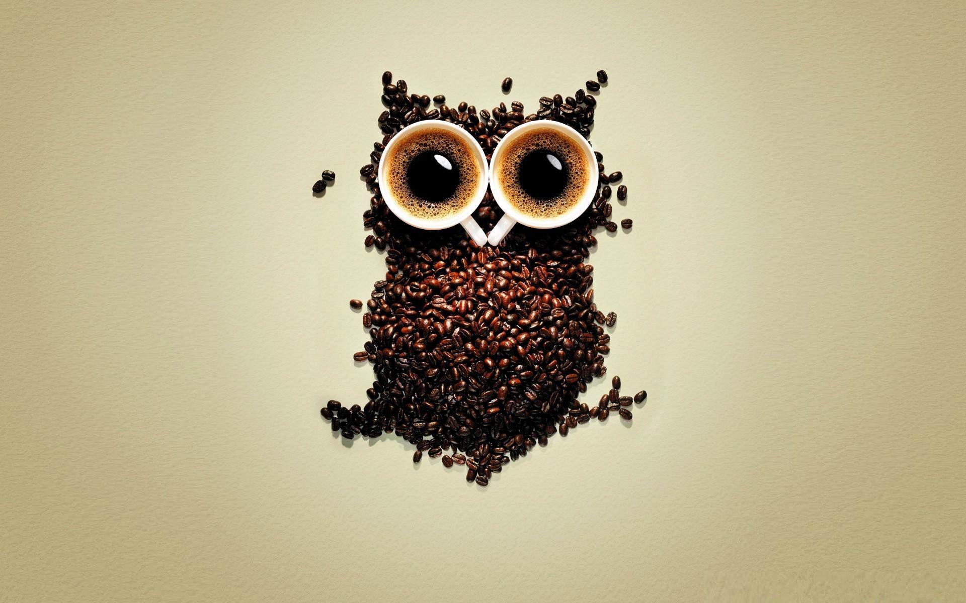 1920x1200 Owl