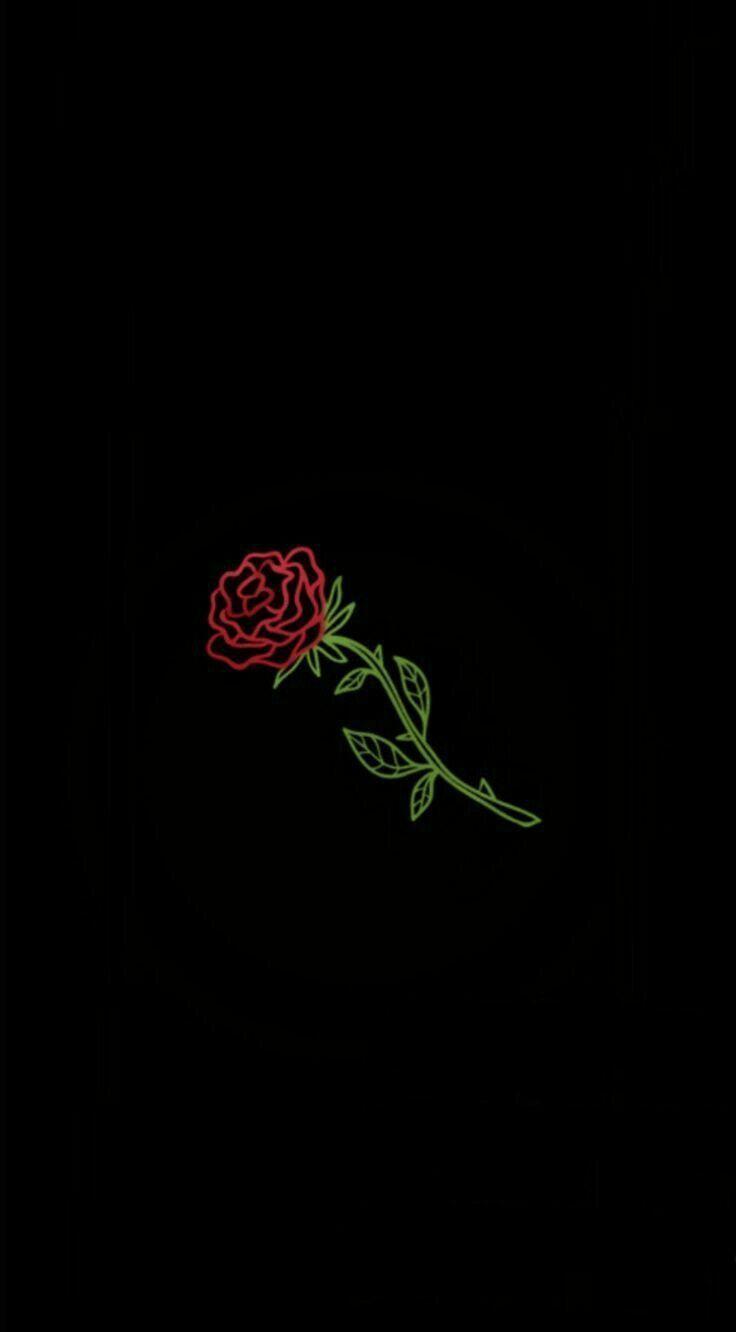 736x1332 Dope Rose Wallpaper
