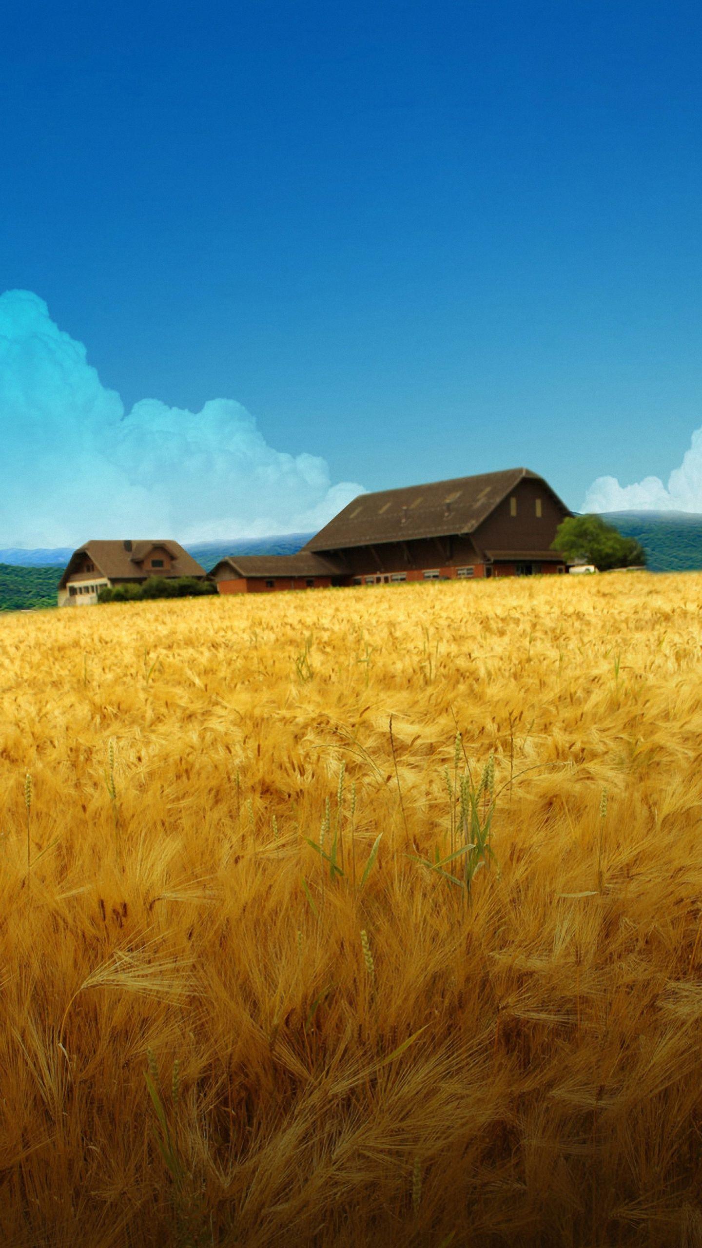 1440x2560 Your Lg G4 HD Farm Scenery Lg G4 .