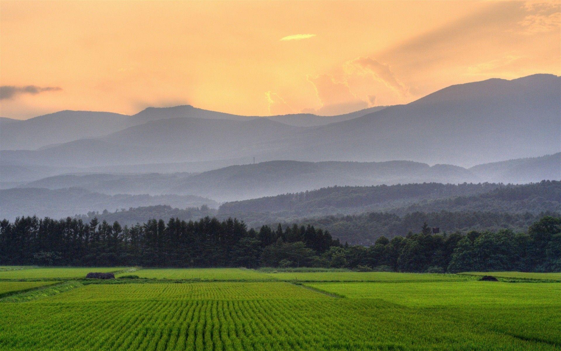 1920x1200 Agriculture Wallpapermillion