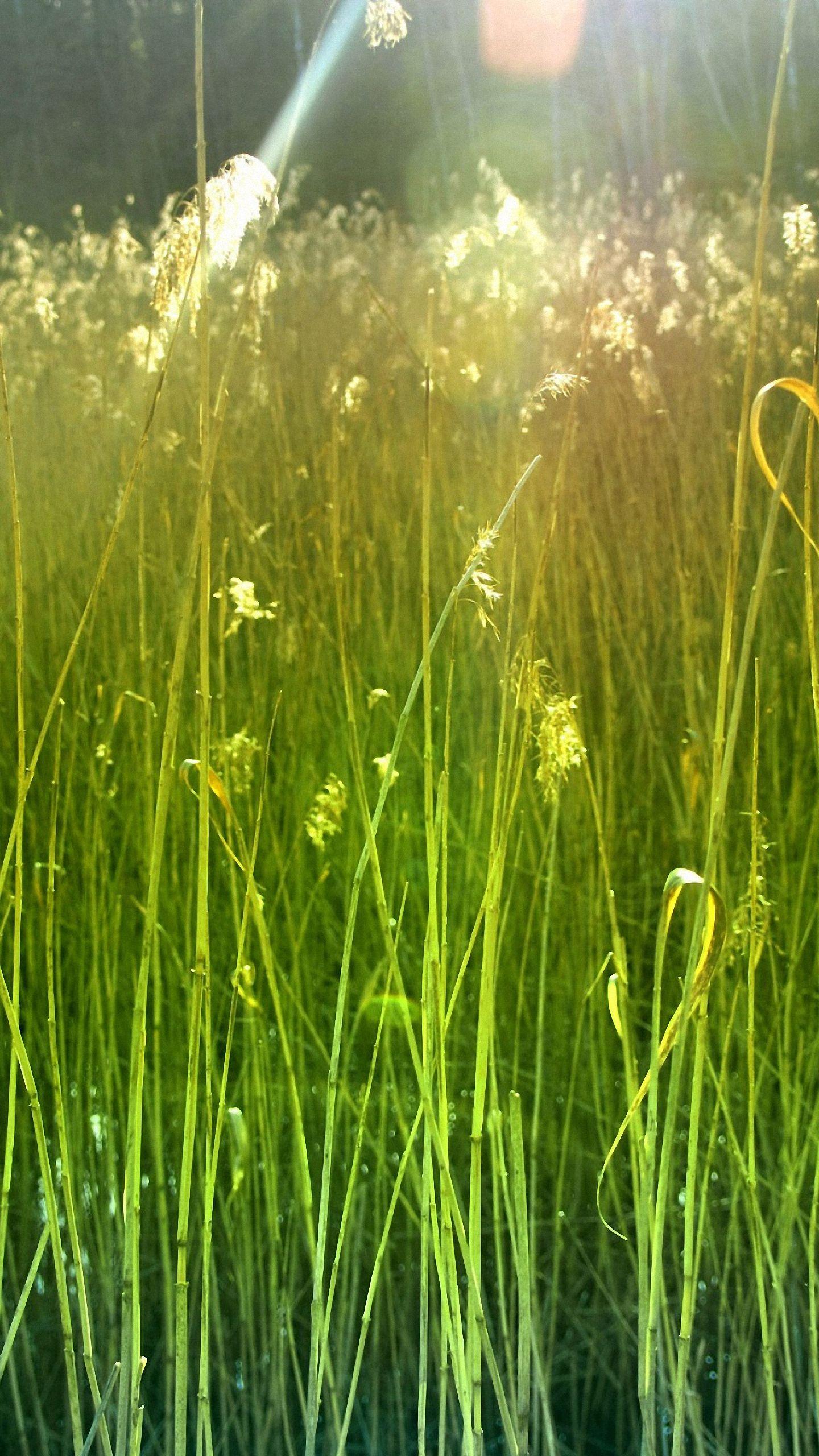 1440x2560 Hd Nature Farmer Moto Phone Wallpaper .