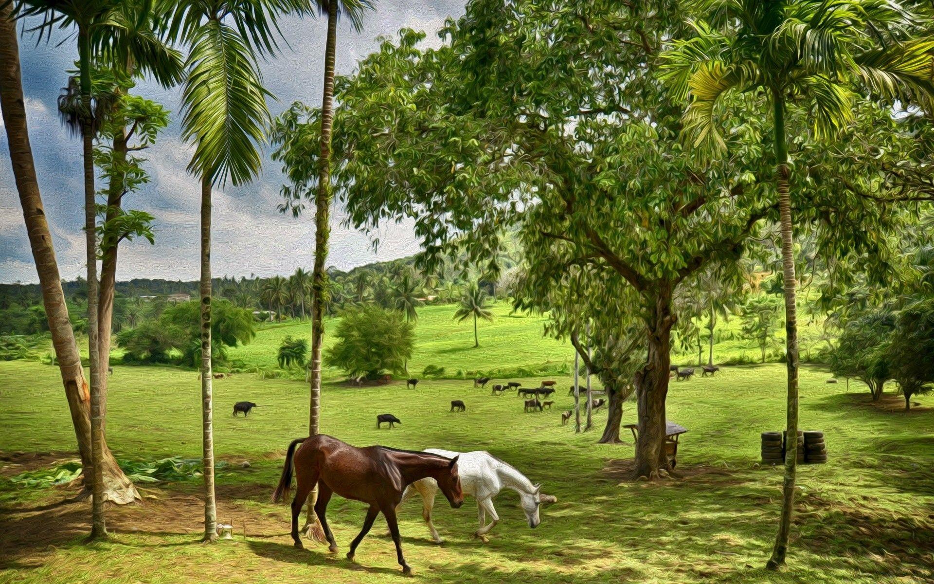 1920x1200 Happy Farm Wallpapermillion