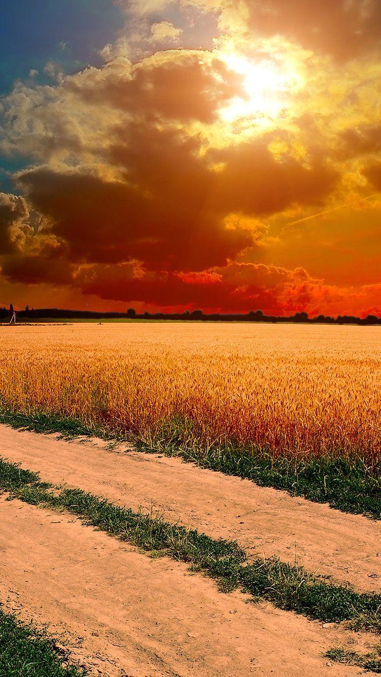 750x1334 Free download ml99 hot sunny day nature .