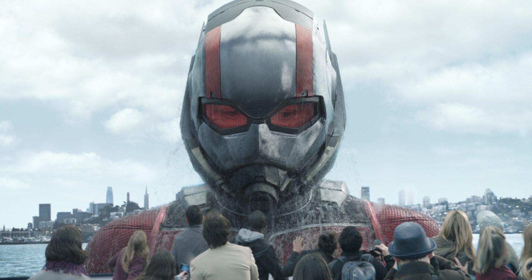 1800x949 Ant Man And The Wasp HD Wallpaper .