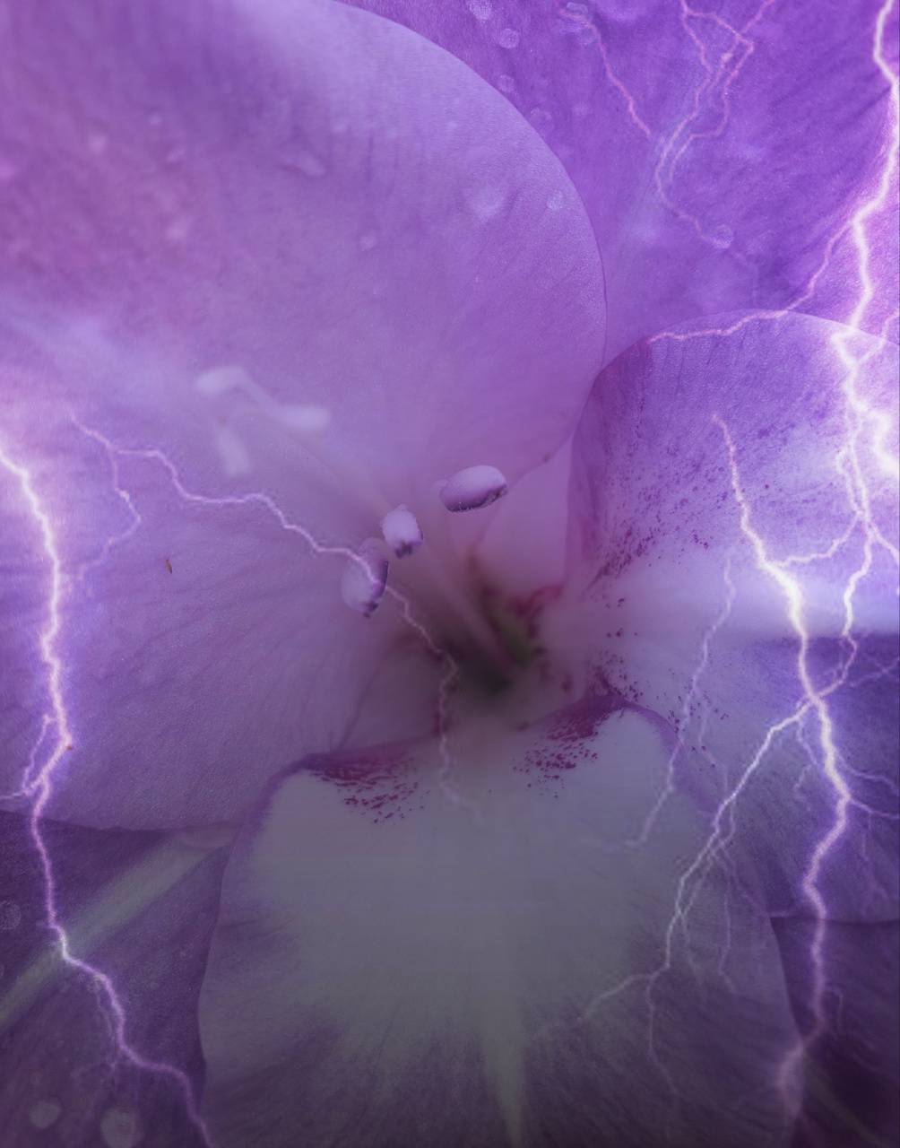 1004x1280 Purple Lightning wallpaper by .