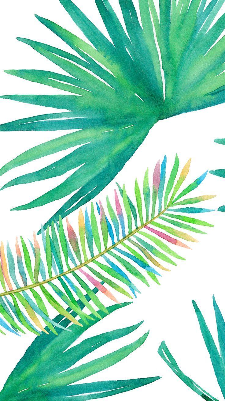 736x1309 best iPHONE WALLPAPERS image. Background