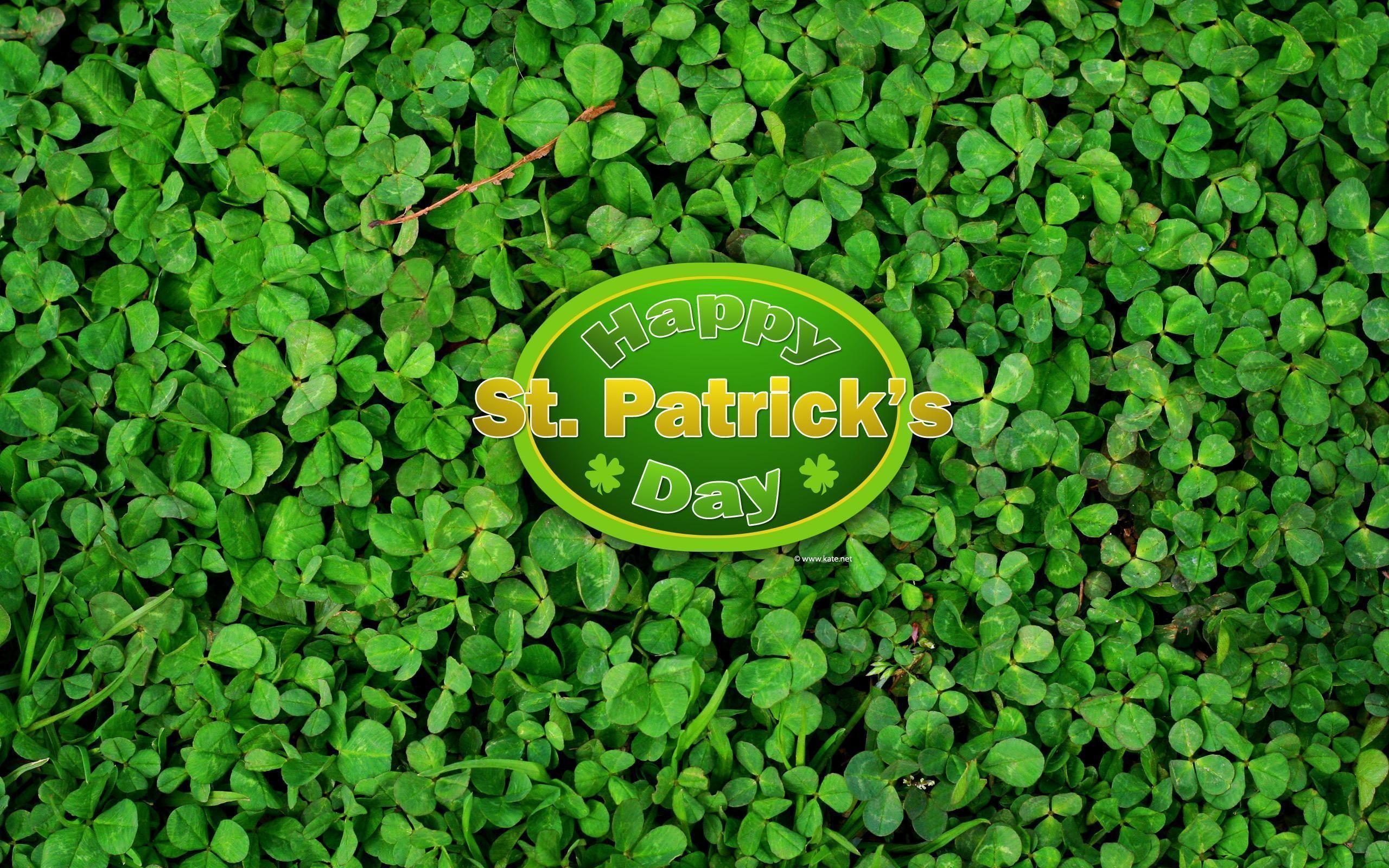 2560x1600 Shamrock Wallpaper .17QQ.comline.