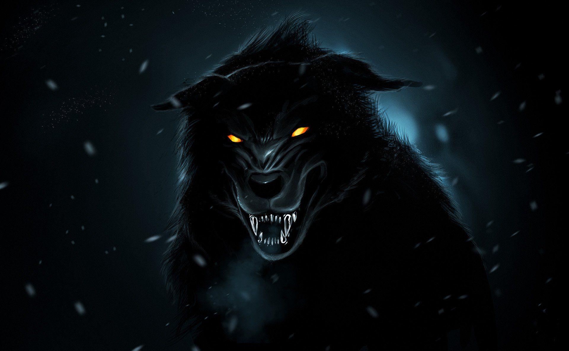 Black Wolf 3d Wallpaper Image Num 4