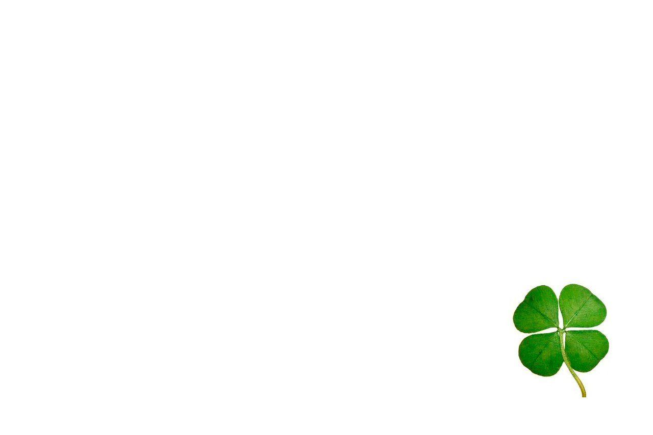 1280x854 Clover Wallpaper HD Walls 1280x854 .