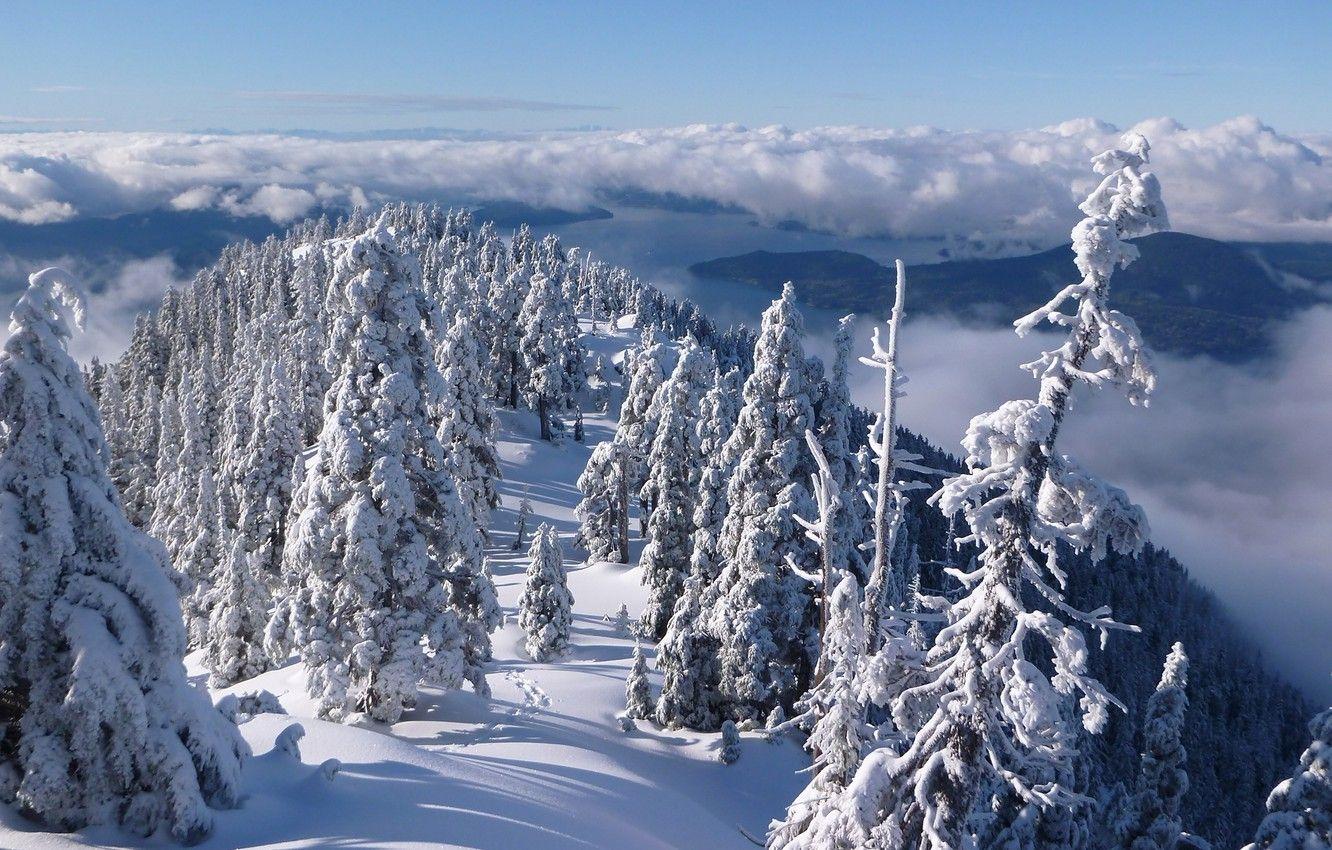 1332x850 Wallpaper winter, forest, clouds, snow .