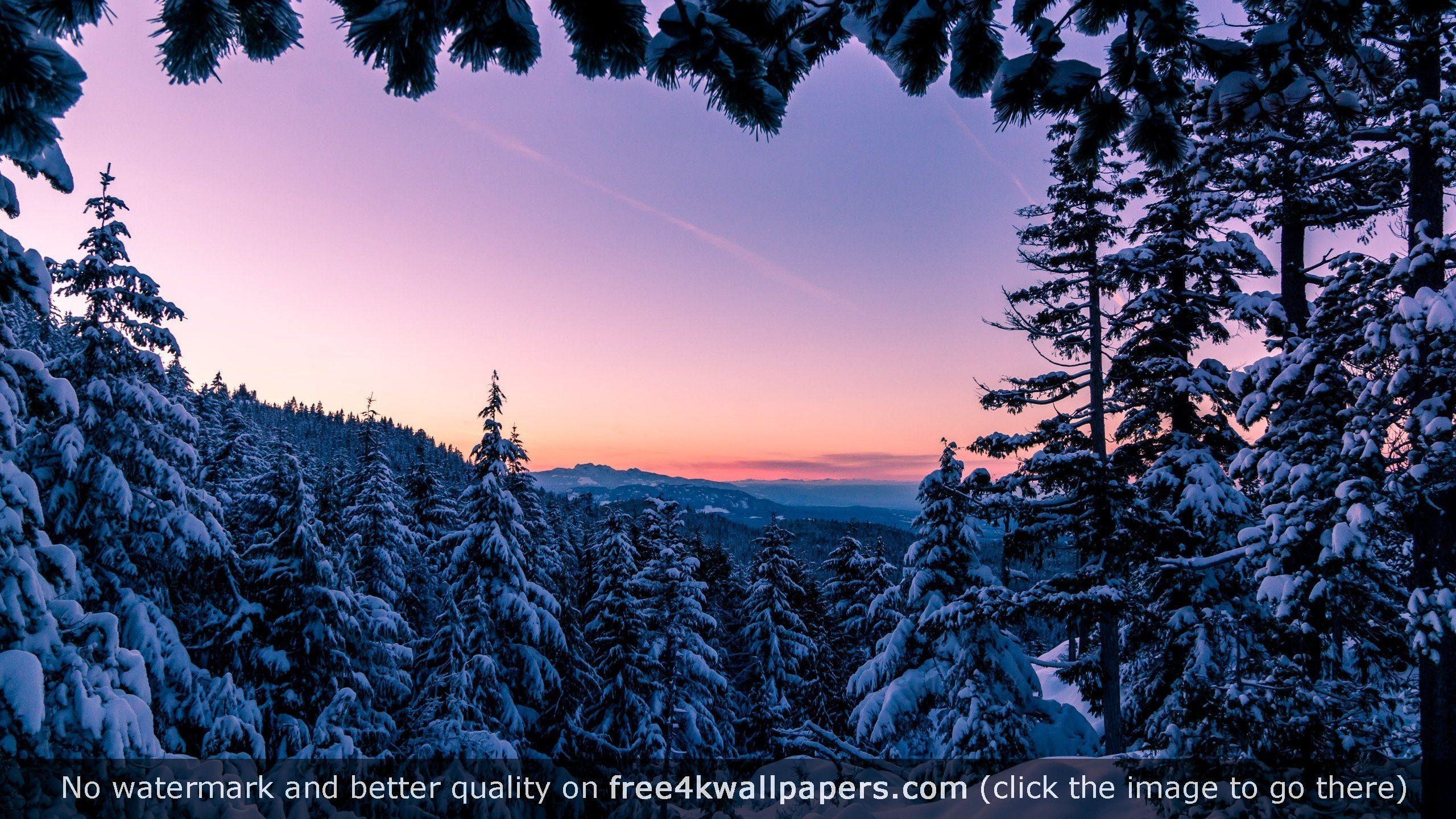 2560x1440 Winter Wonderland! Vancouver Island BC .de