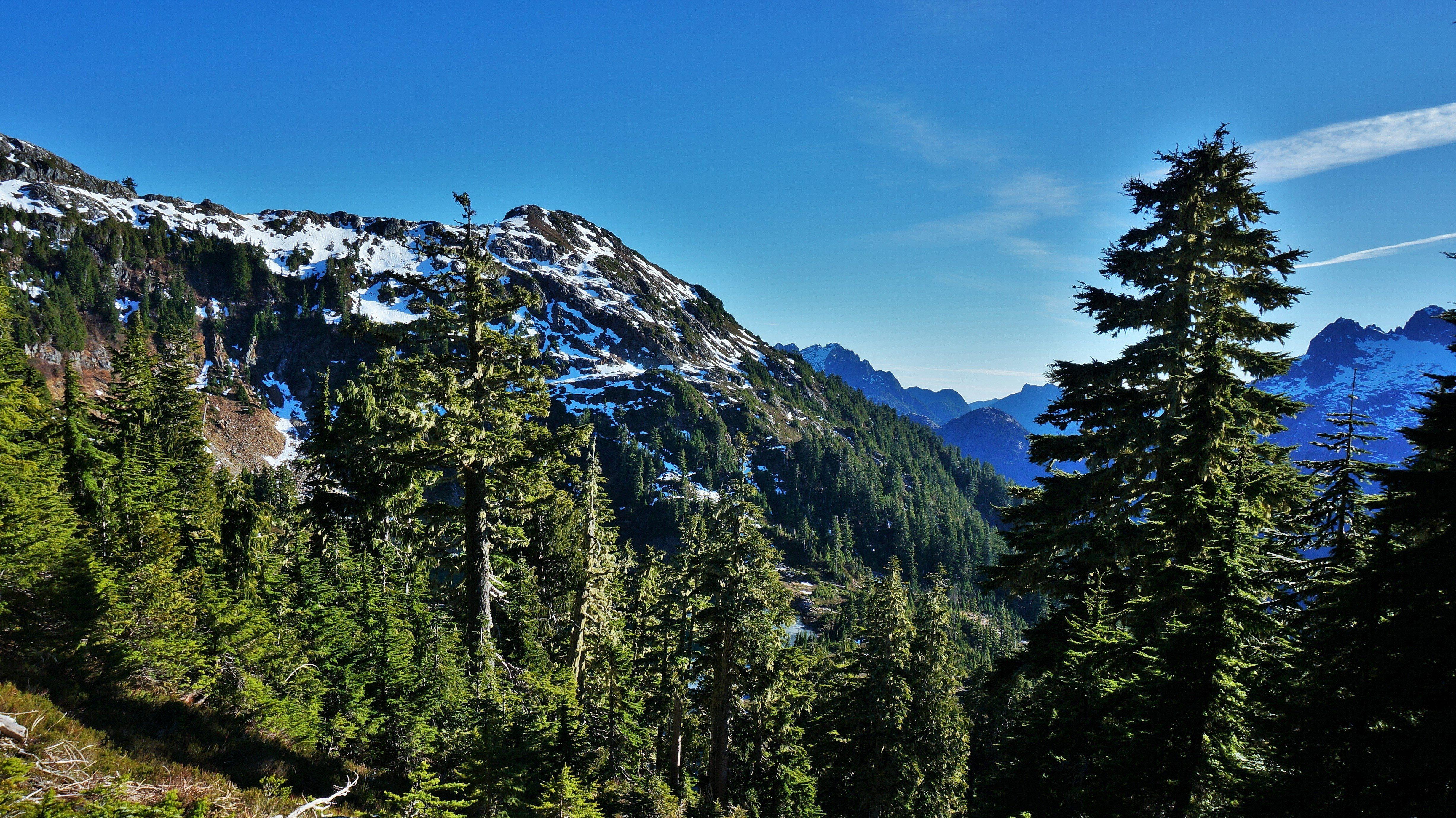 4912x2760 forest, Mountains, Trees, Canada .