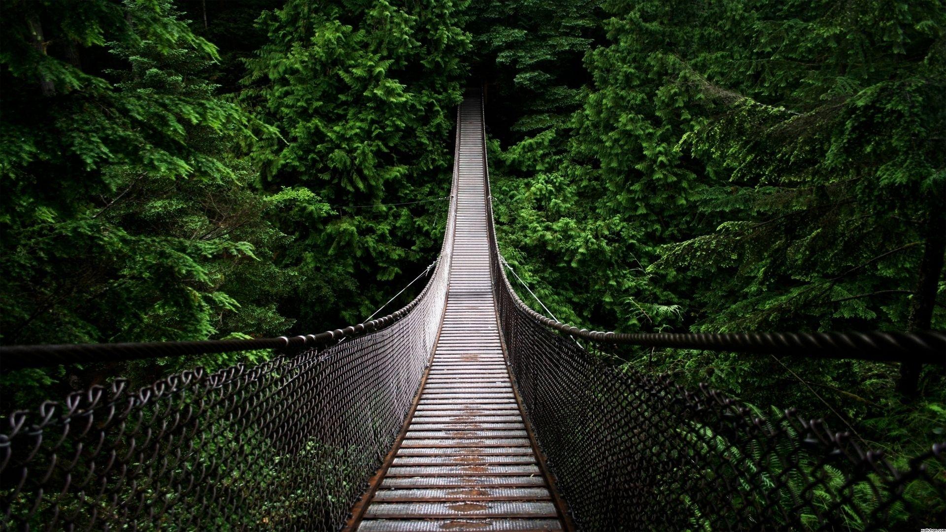 1920x1080 Capilano Suspension Bridge Vancouver .