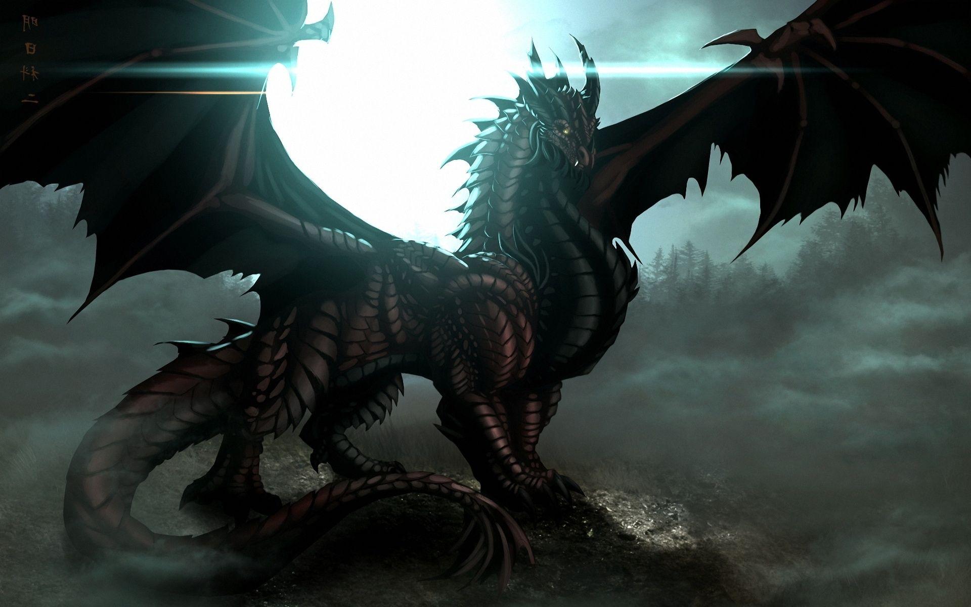 1920x1200 Dragon Wallpaper 7