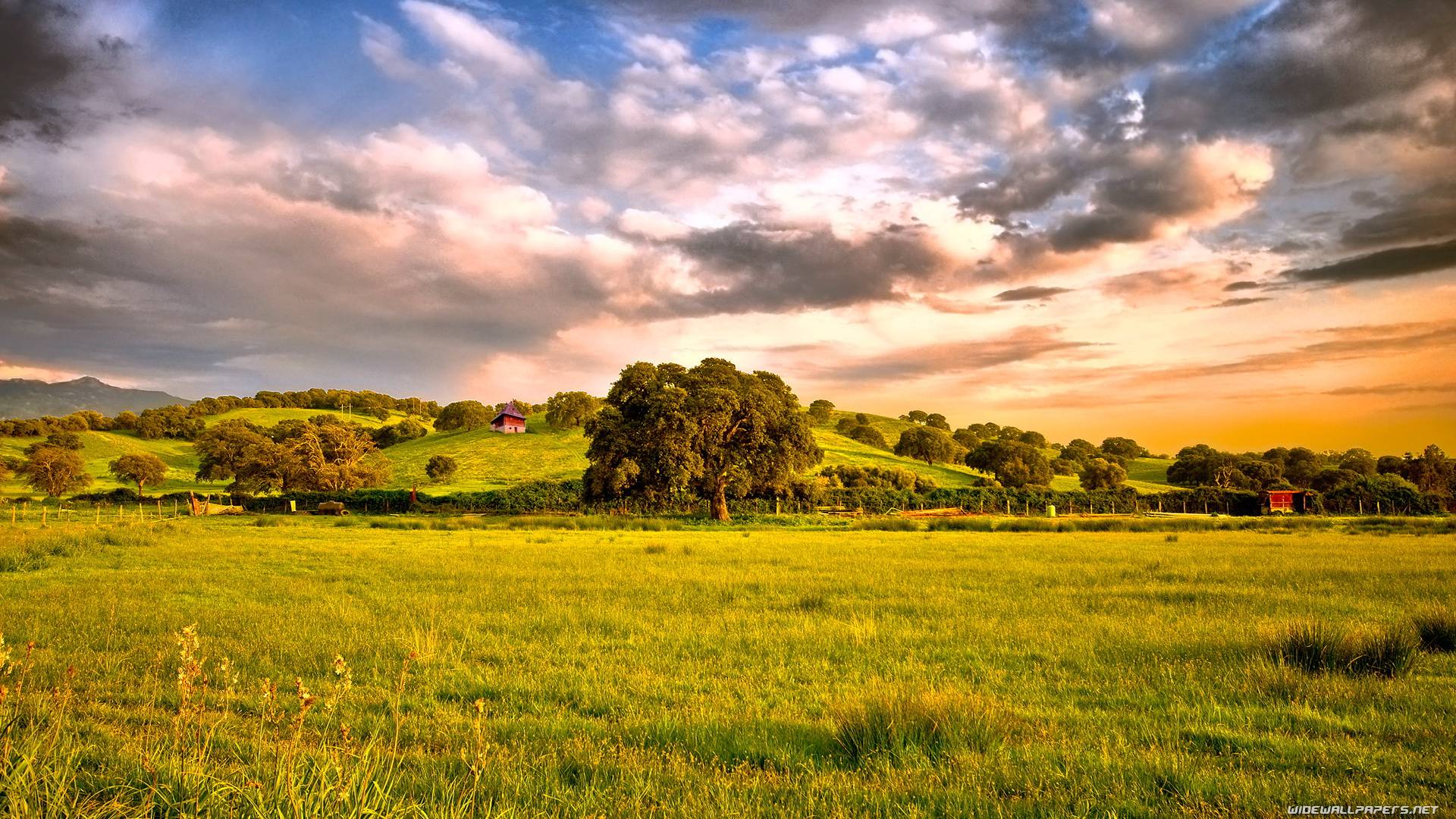 1920x1080 Wallpaper Nature .