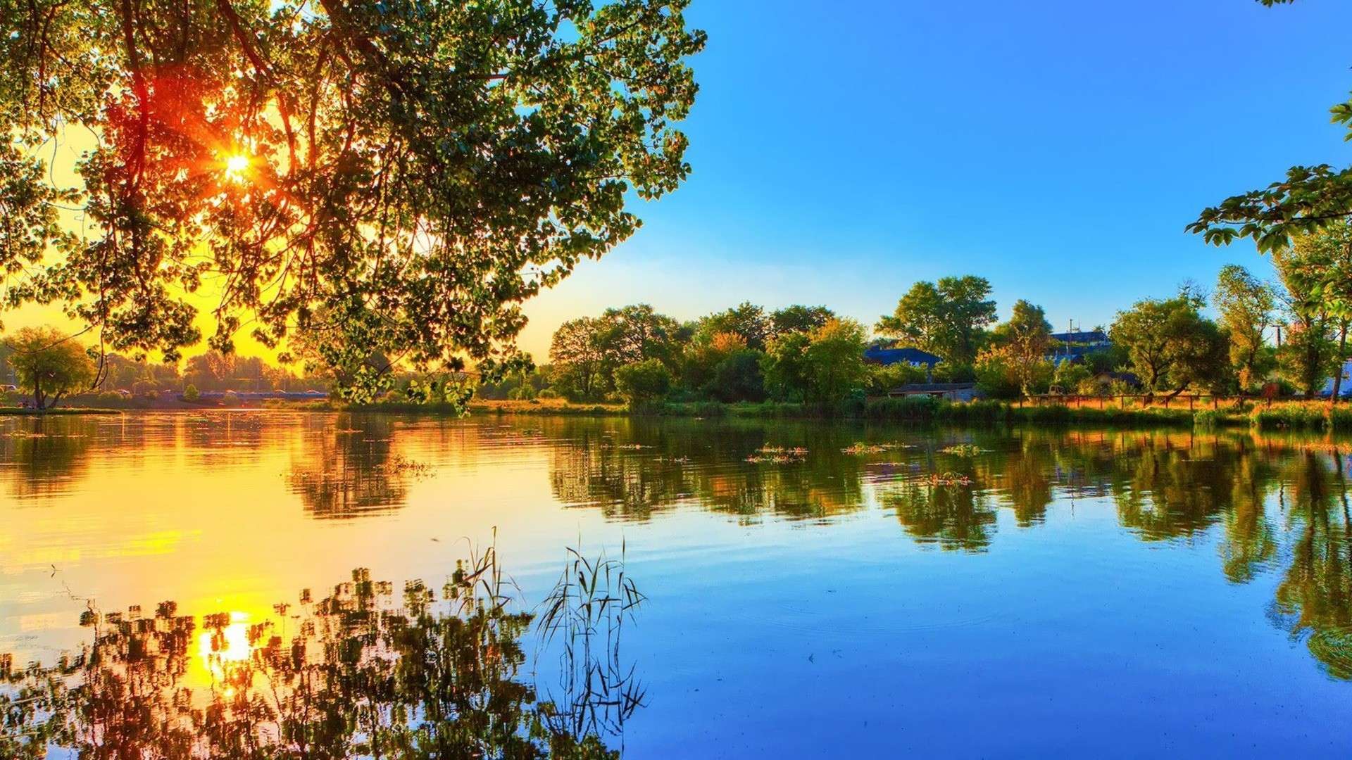 1920x1080 Nature Wallpaper