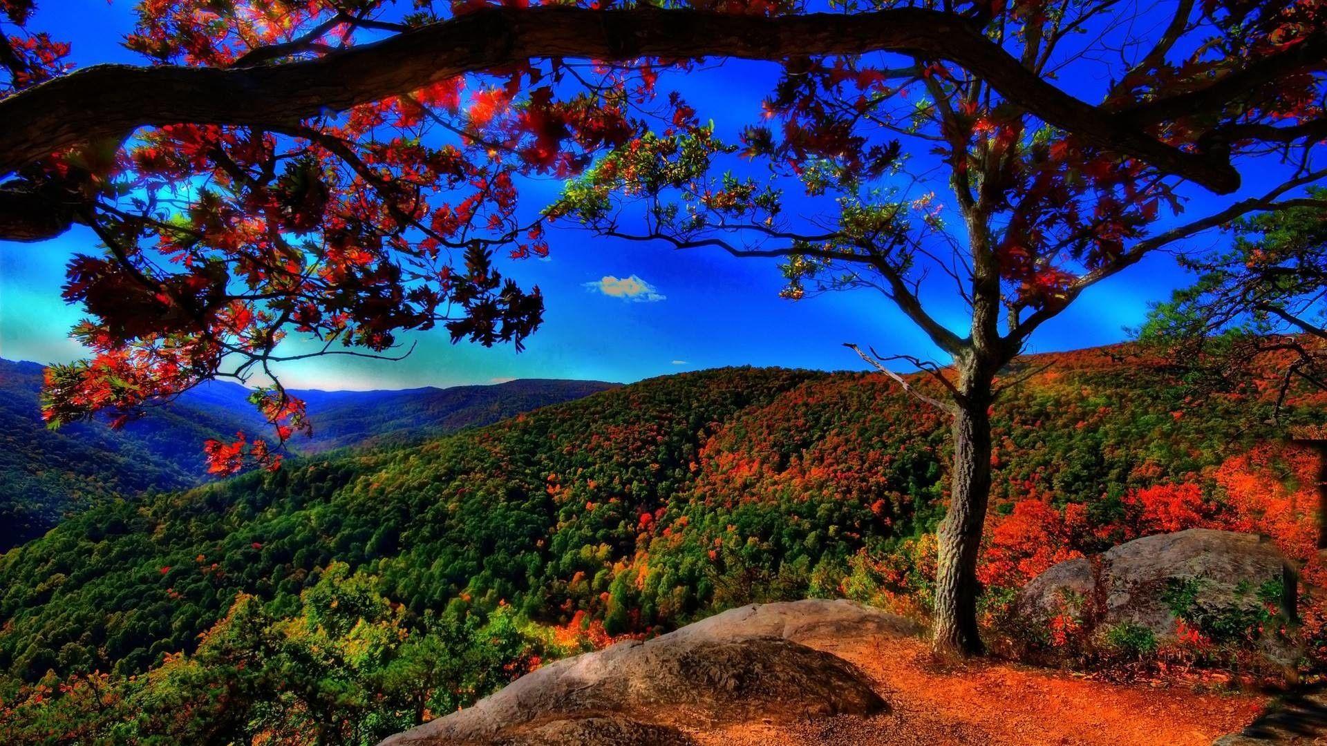 1920x1080 Full HD Nature Wallpaper .