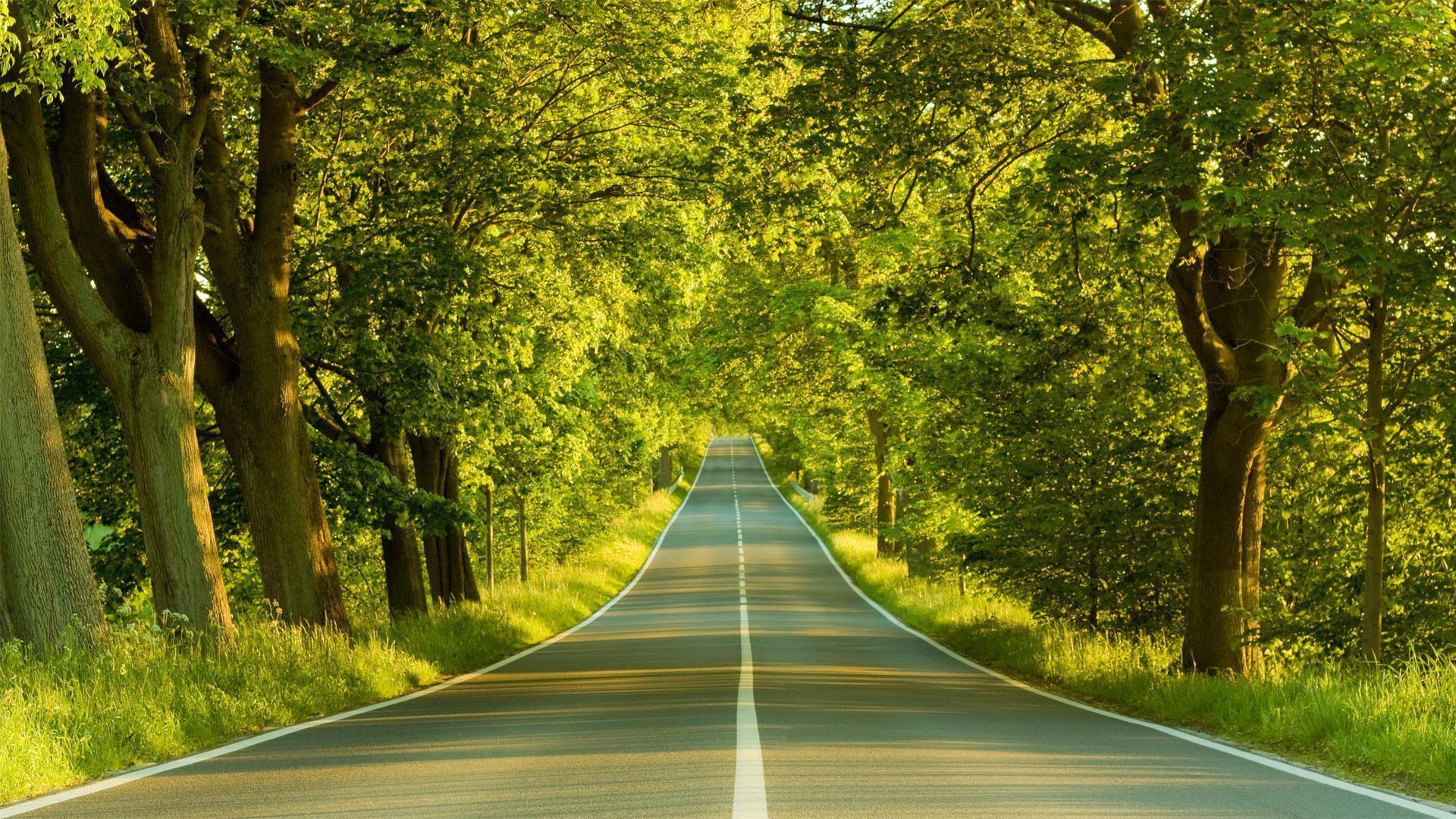 1920x1080 HD Nature Wallpaper 1080p Group Wallpaper