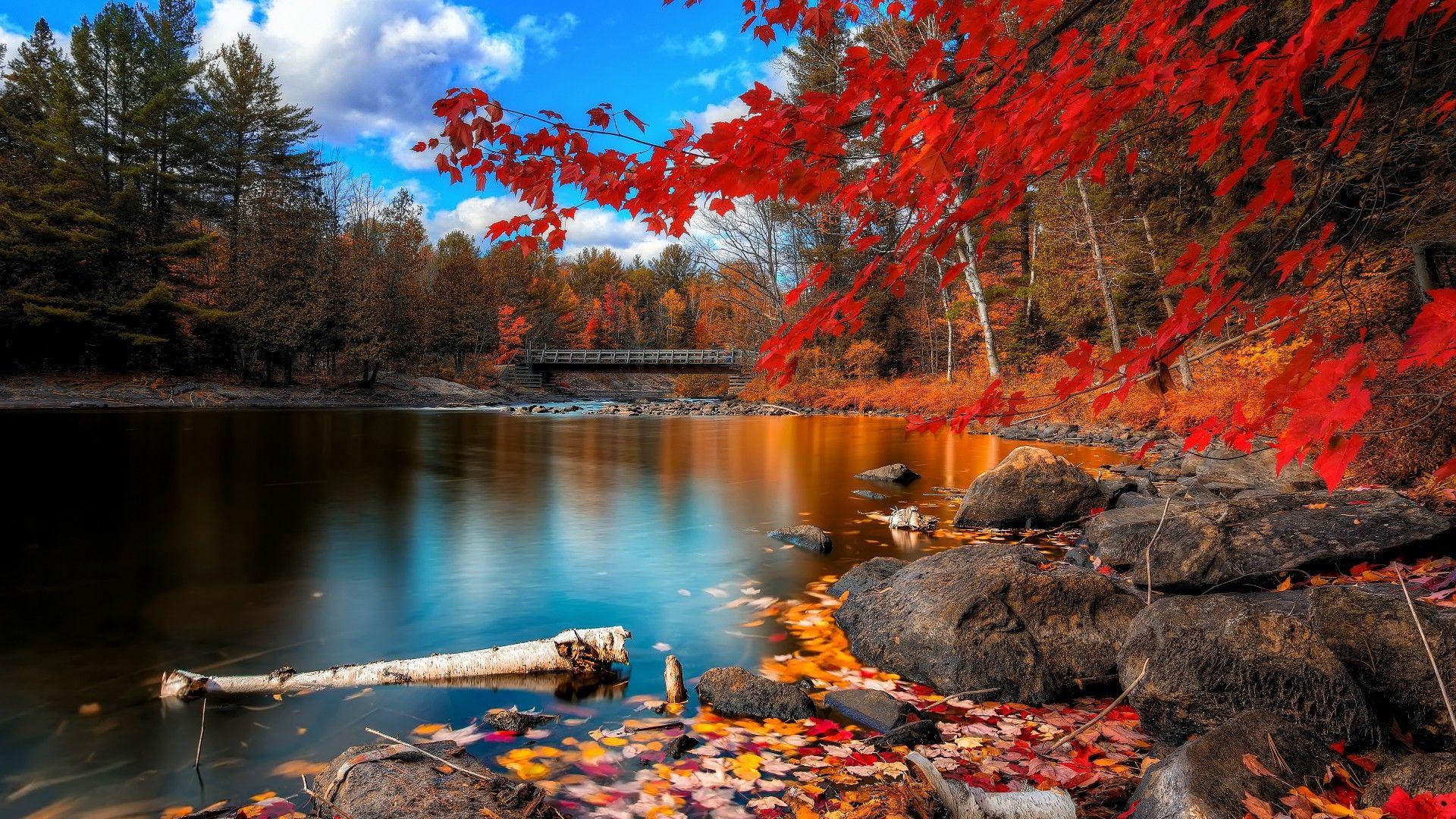 1920x1080 Hd Wallpaper 1920x1080 Nature posted .