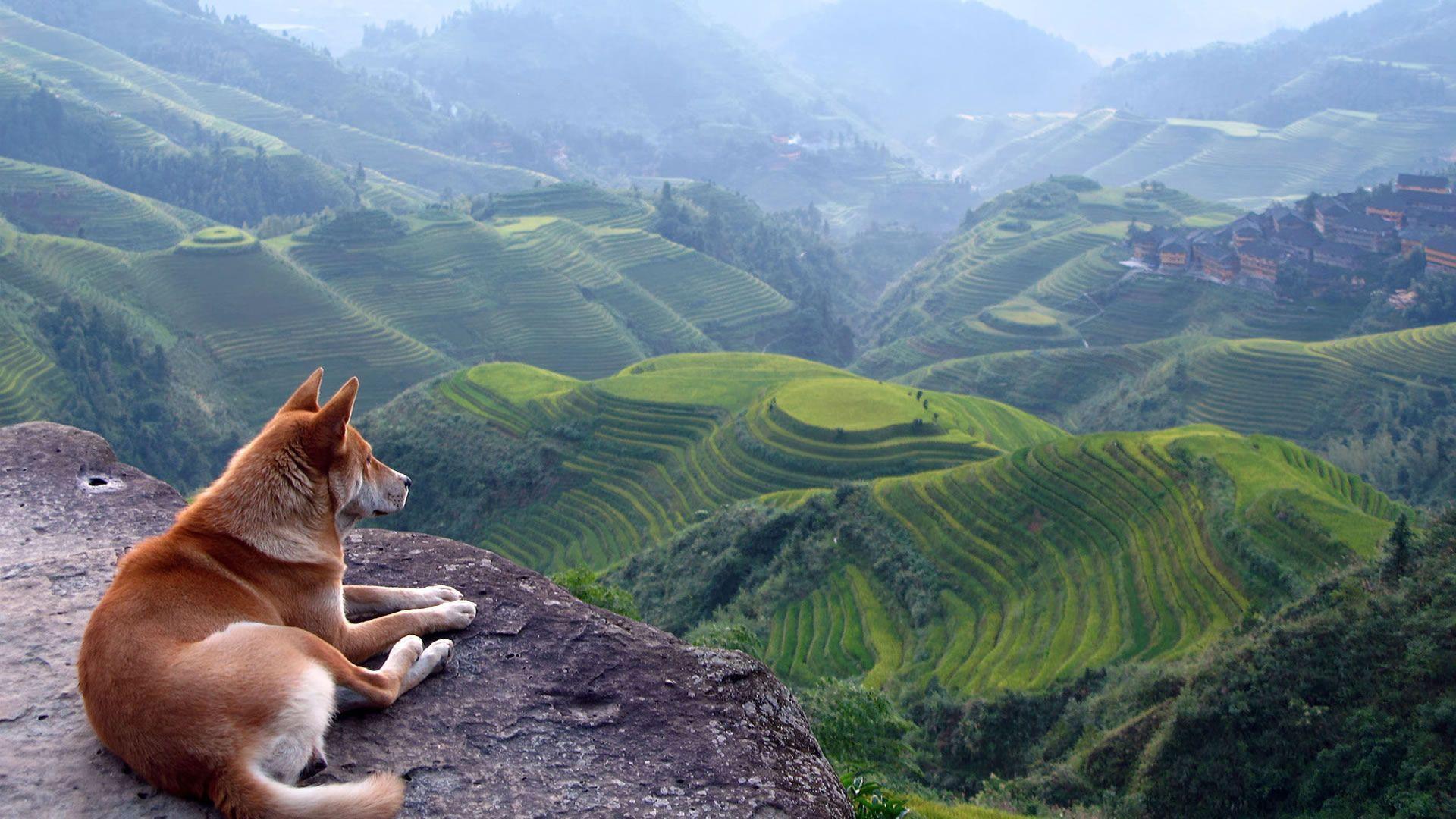 1920x1080 10++ 1920x1080 HD Wallpaper Nature .bastywallpaper.