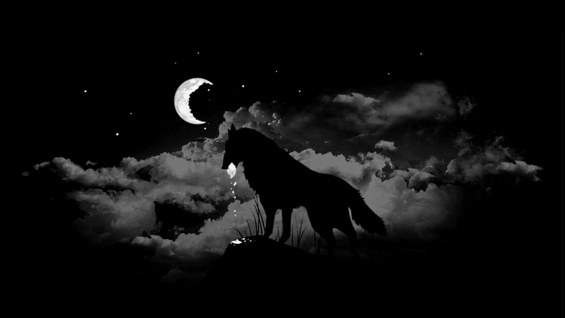1920x1080 Wolf Desktop Wallpaperwallpaper.dog