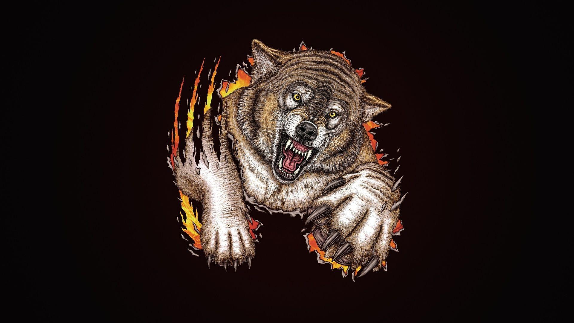 1920x1080 Wolf Minimal Art Laptop Full .