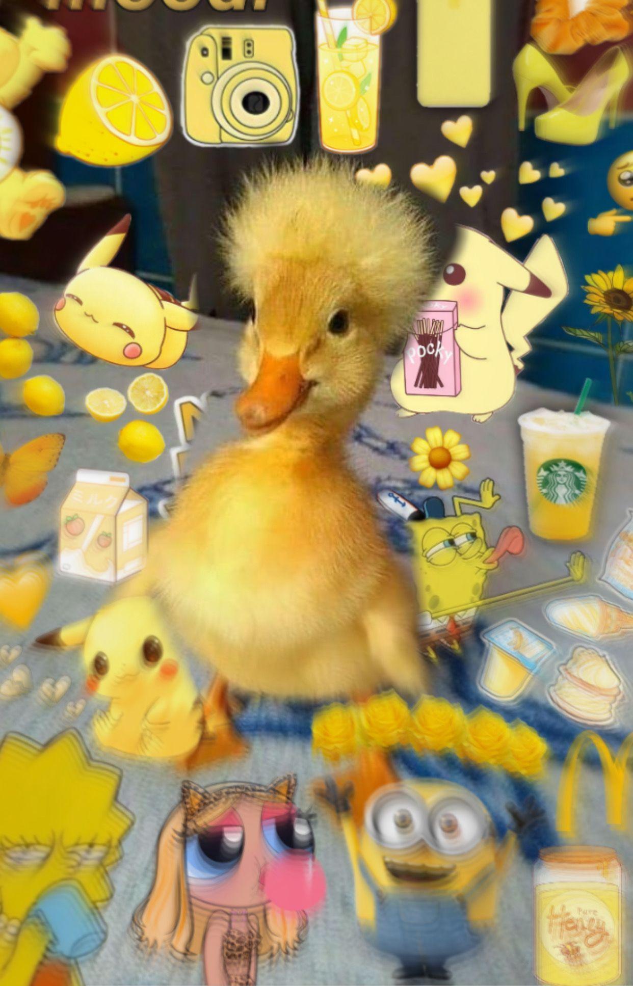 1242x1935 Cute Animal Duck. Duck Wallpaper, Cute .com