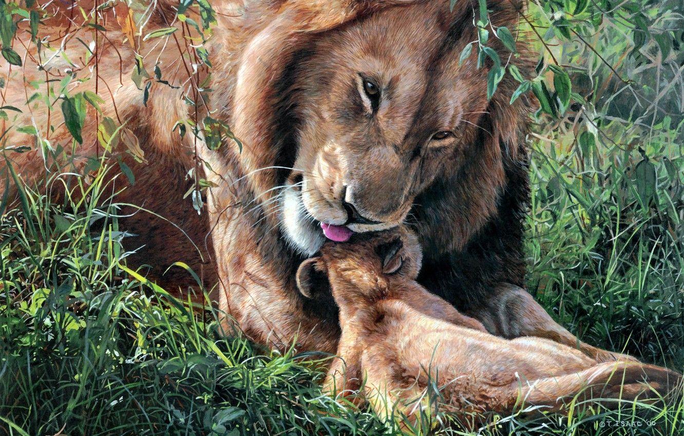 1332x850 Wallpaper Leo, art, weasel, lion .