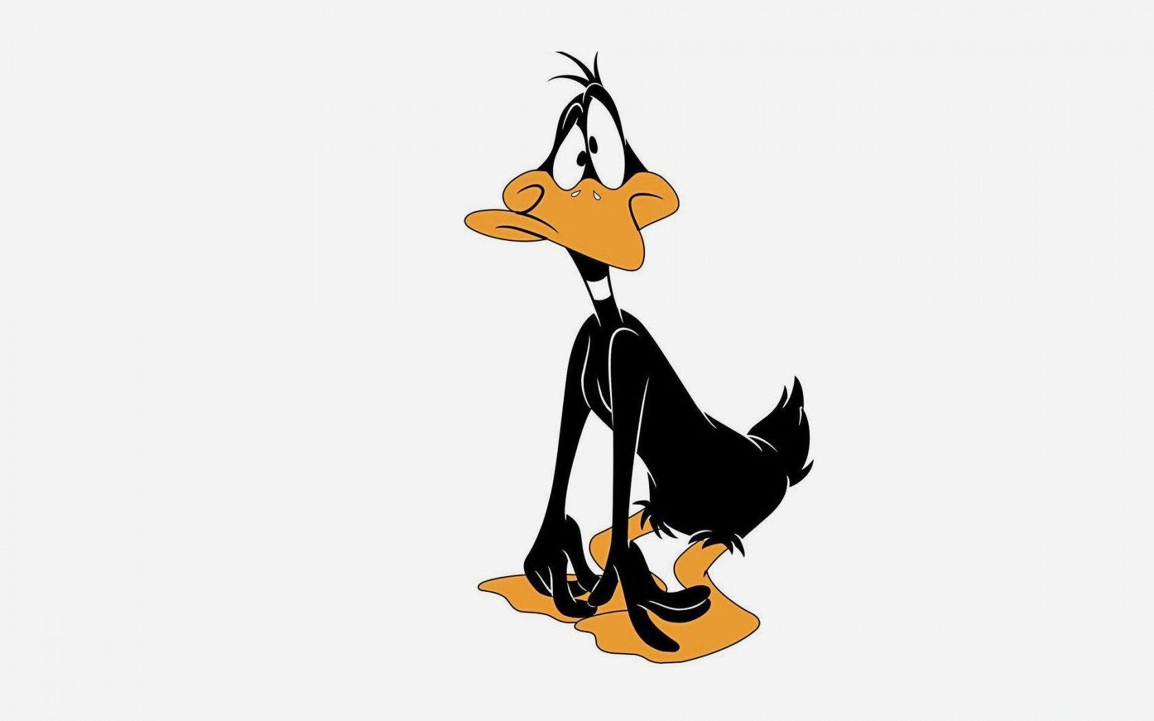 1680x1050 Funny Cartoon Daffy Duck wallpaper .