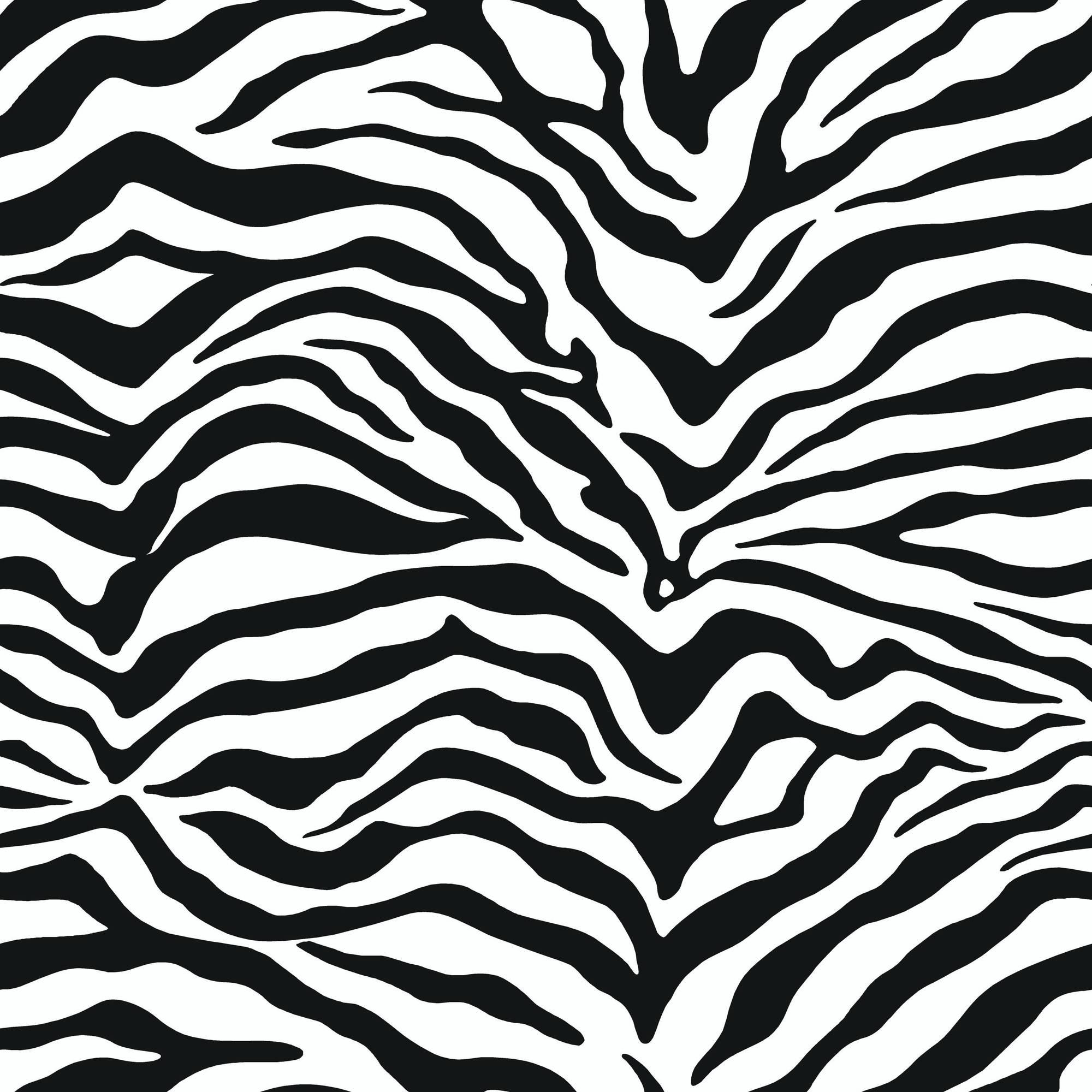 2000x2000 CACOSDAFAP: Black White Zebra Wallpapercacosdafap.