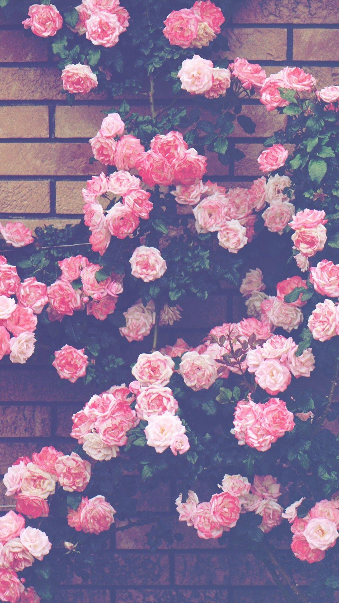 Retro Pink Wallpapers Top Free Retro Pink Backgrounds WallpaperAccess