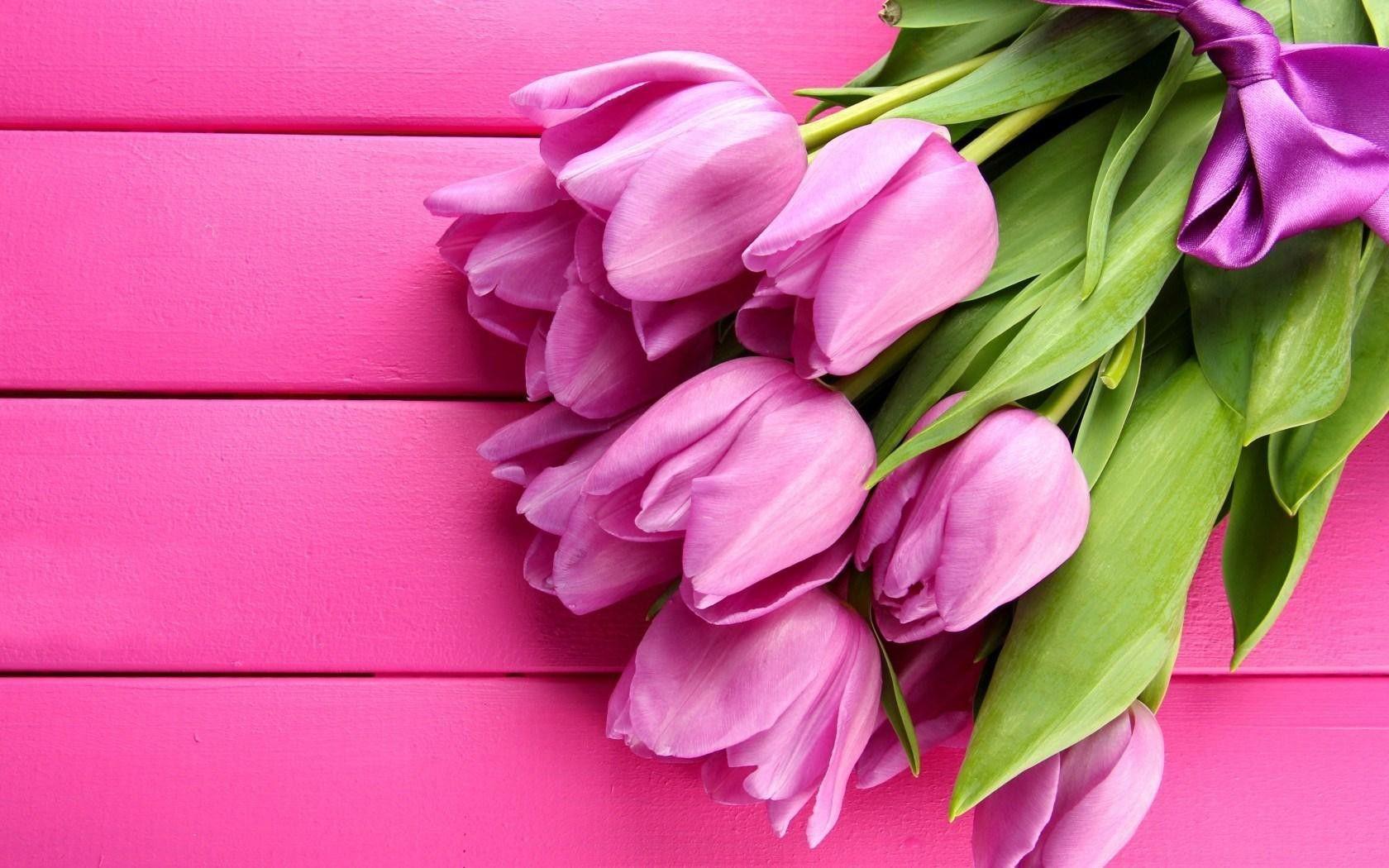 1680x1050 Free download Flowers Spring Lovey Pink .