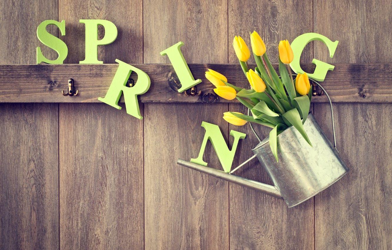 1332x850 Wallpaper tree, spring, yellow, tulips .