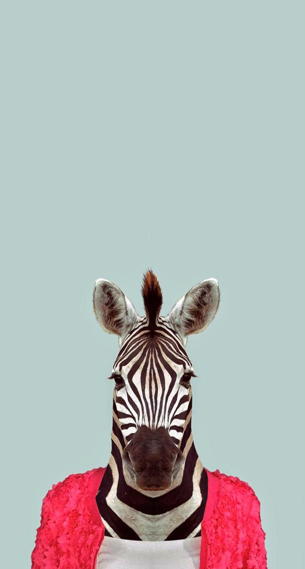 1028x1920 Zebra Funny Animal Portrait iPhone 6 .