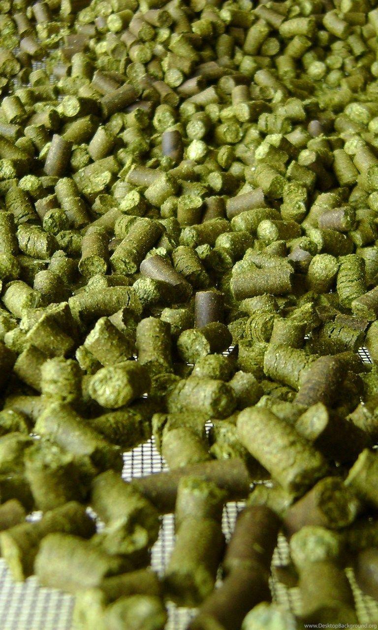 Hops Wallpapers - Top Free Hops Backgrounds - WallpaperAccess