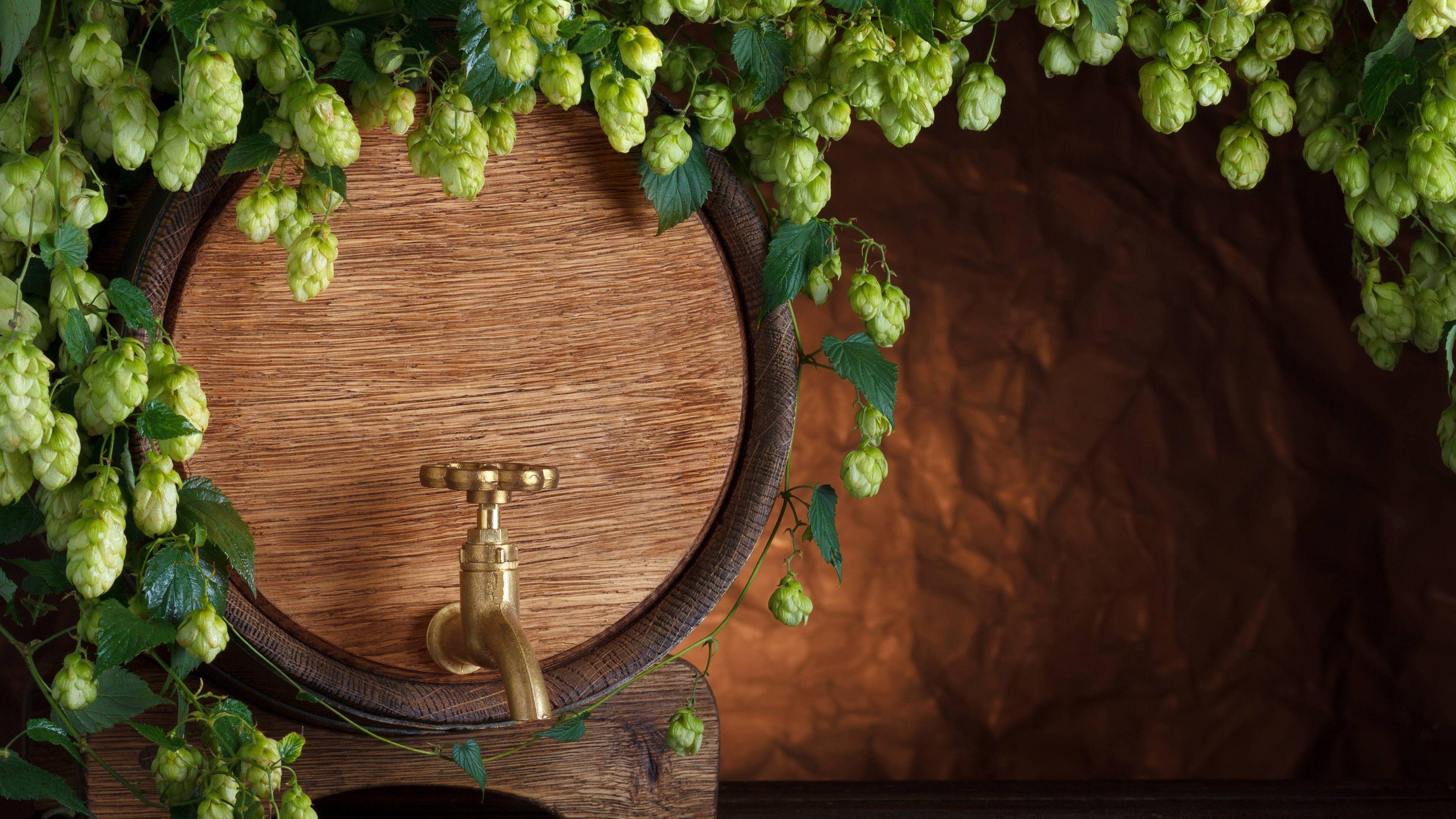 Hops Wallpapers - Top Free Hops Backgrounds - WallpaperAccess