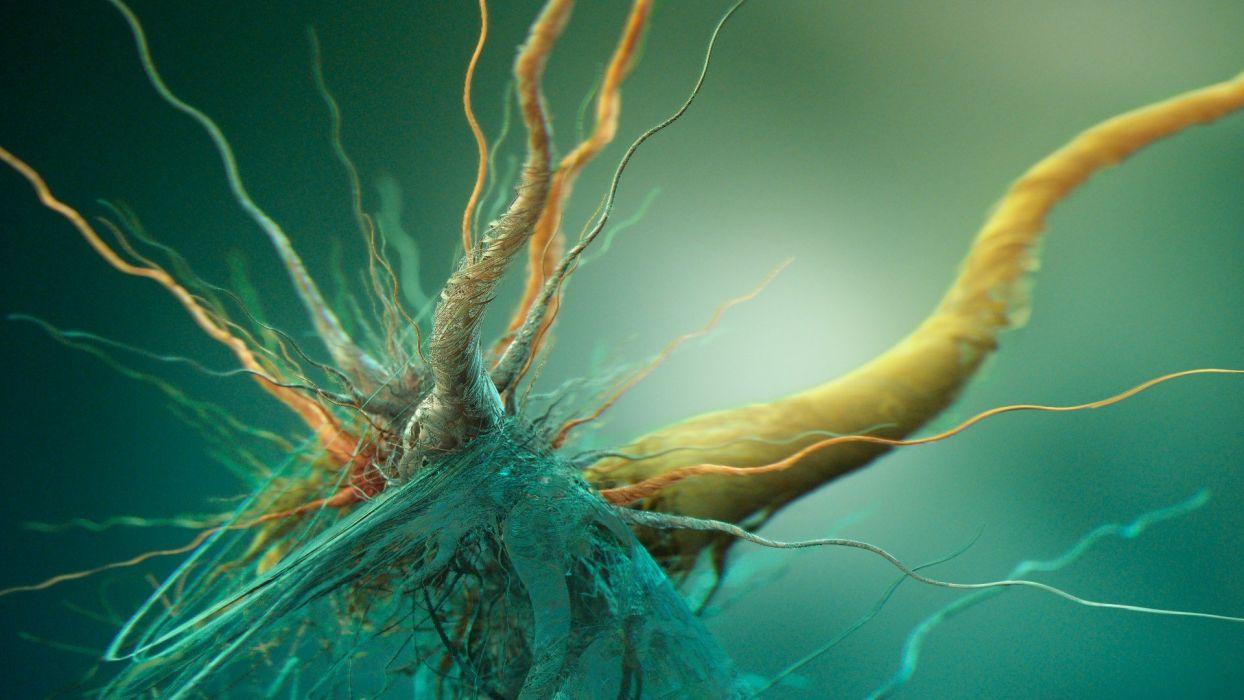 1244x700 Abstract neurons wallpaperx1080 .
