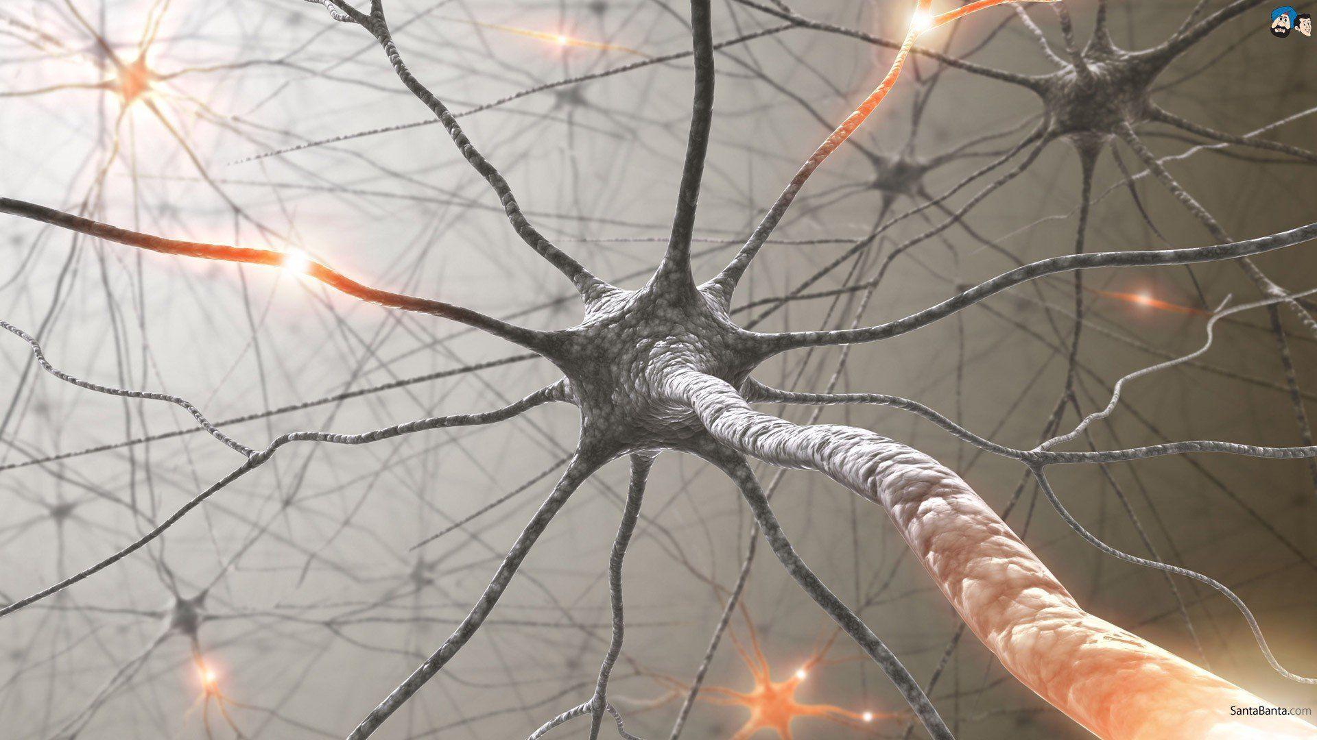 1920x1080 neurons Wallpaper HD / Desktop and .