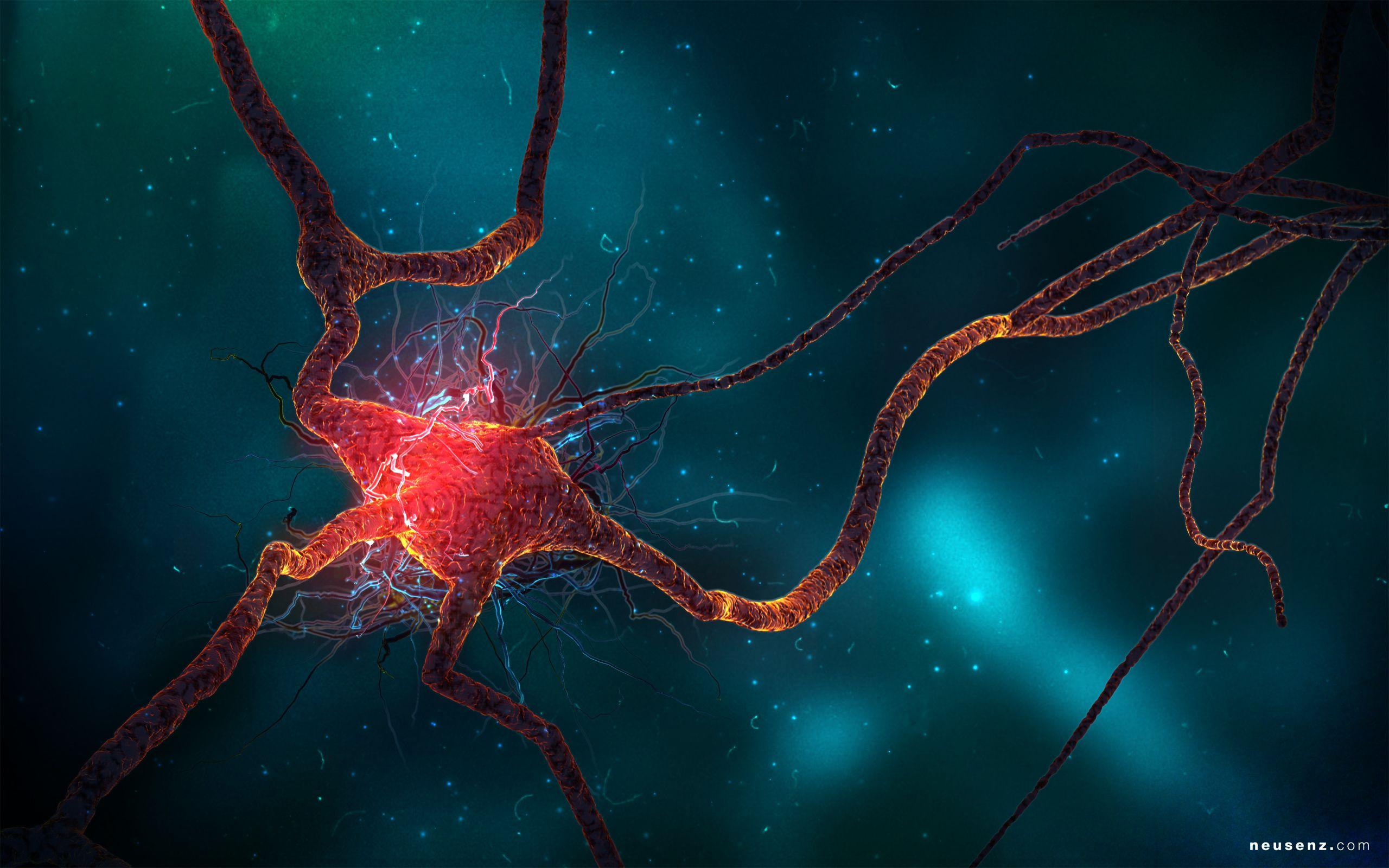 2560x1600 Free download Neuron Cell Wallpaper HD .