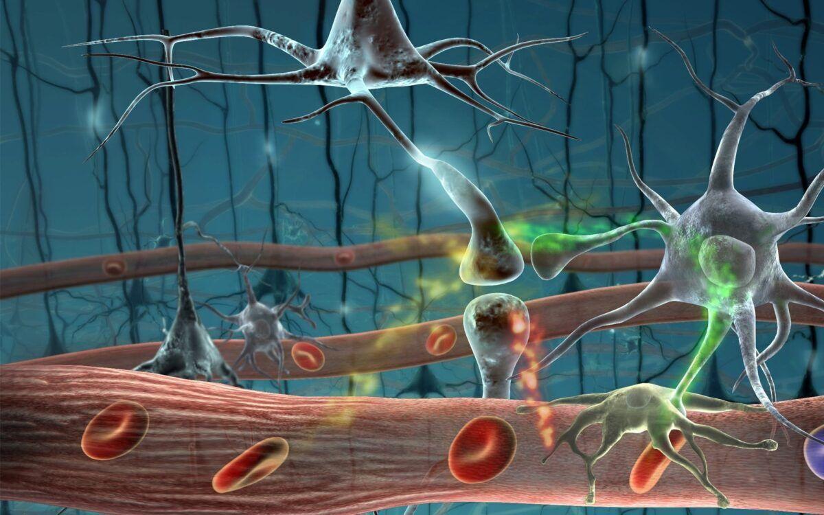 1200x750 Neurons, Digital, Wallpaper, Abstract .