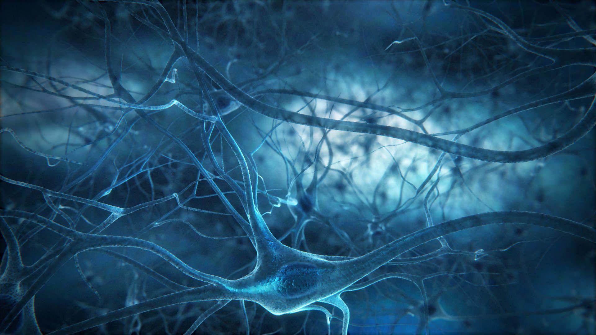 1920x1080 Neurons
