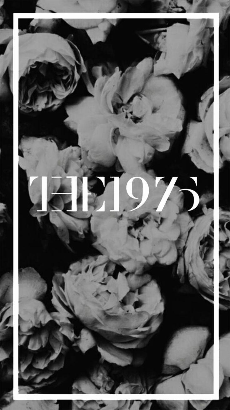736x1309 The 1975