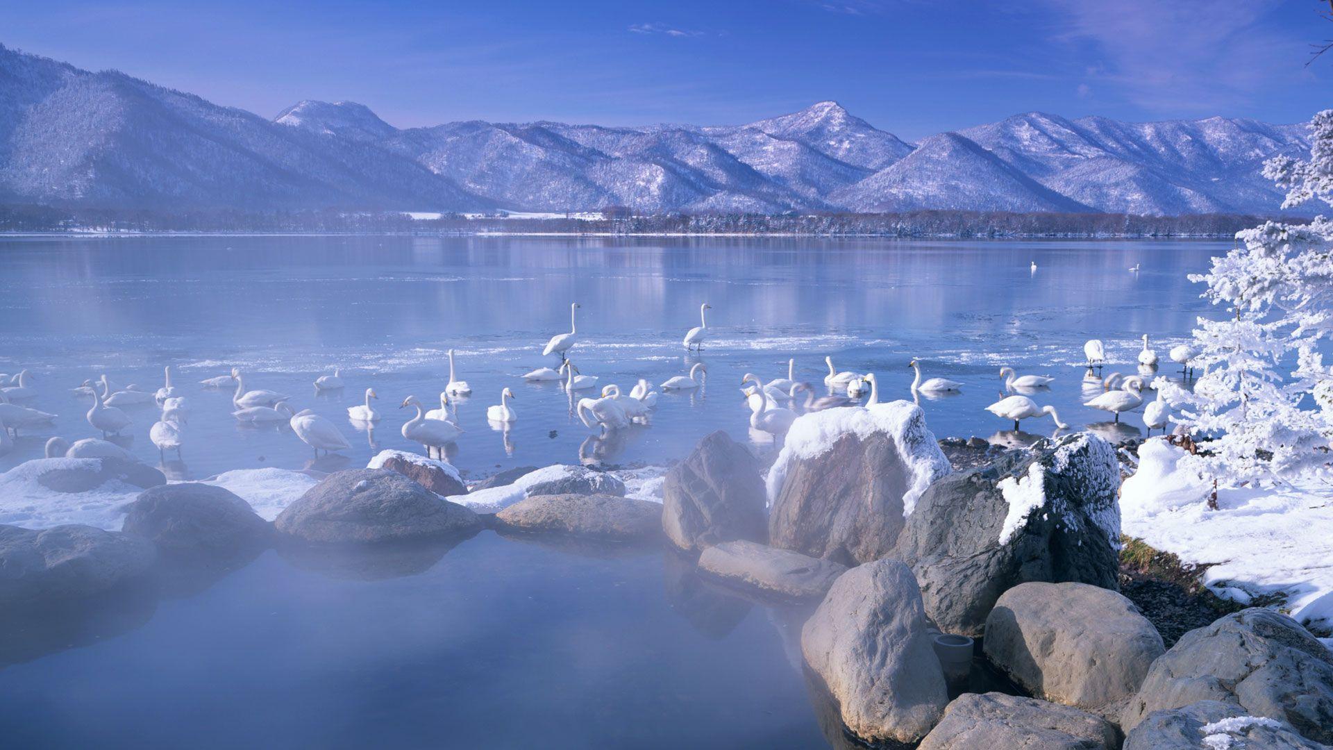 1920x1080 Bing Nature Wallpaper Set 6 « Awesome Wallpaper