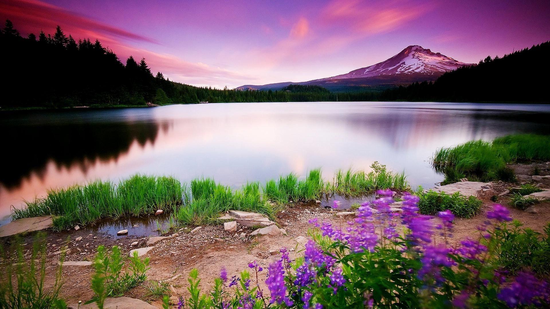 Bing Nature Wallpapers Top Free Bing Nature Backgrounds WallpaperAccess Bing Nature Wallpapers Top Free Bing Nature Backgrounds WallpaperAccess