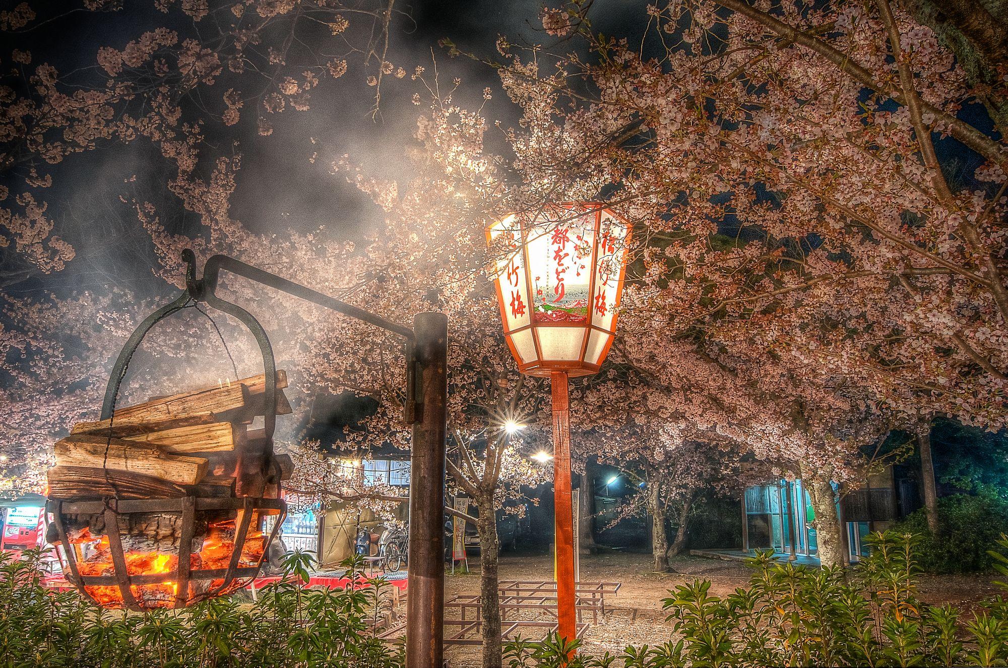 2000x1325 Burning Incense at the Kyoto Cherry Blossom Festival & Nick Jackson