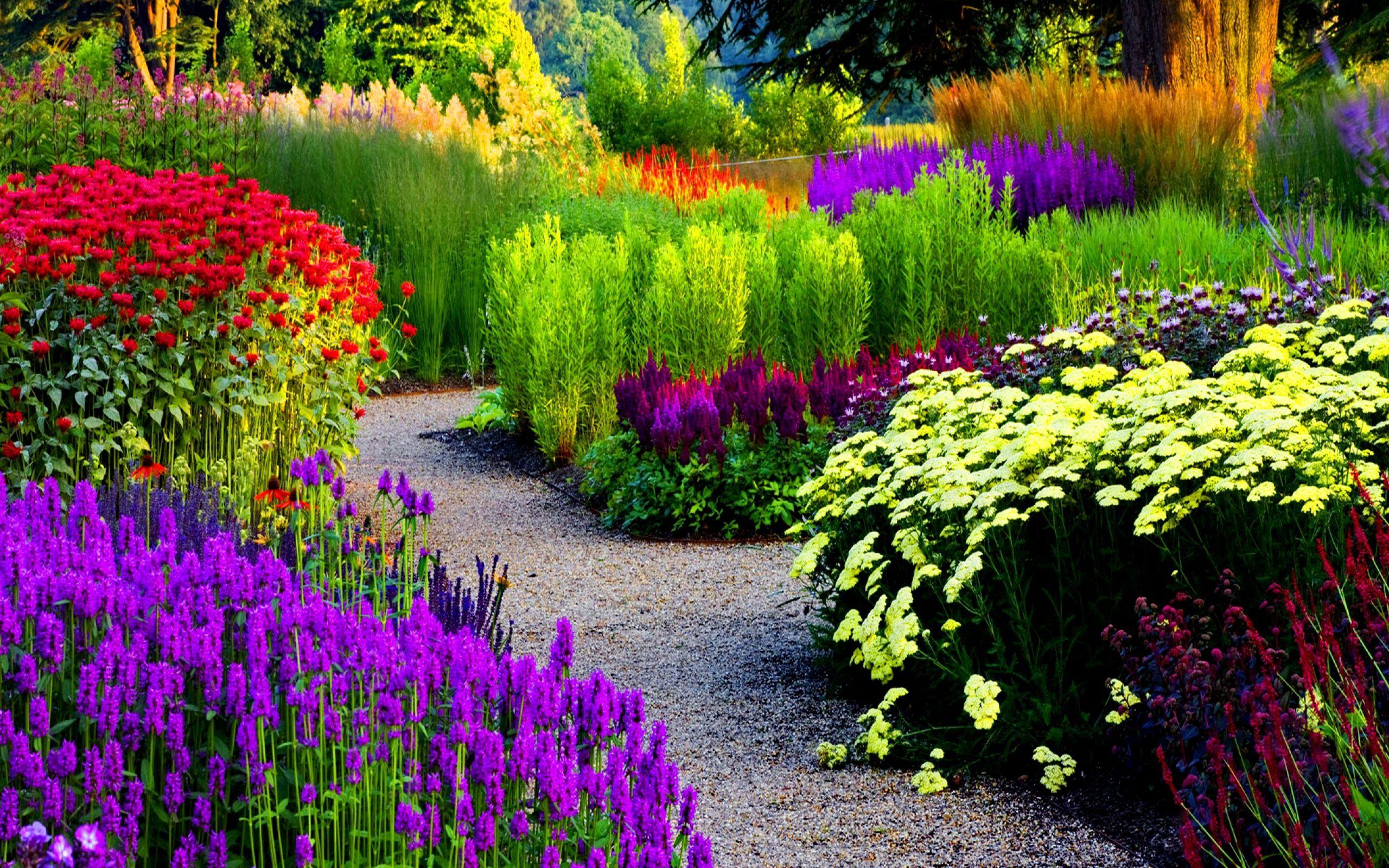 2560x1600 Garden Background for Computers. Computers Wallpaper, Background for Computers Lab Puppy and Jif Pom Background for Computers Puppy