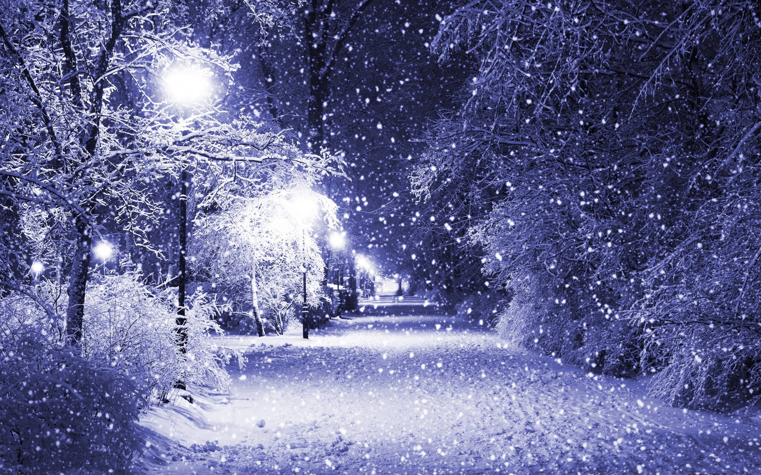 2560x1600 Pretty Winter Background